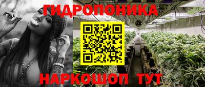 PSILOCYBIN Ликино-Дулёво