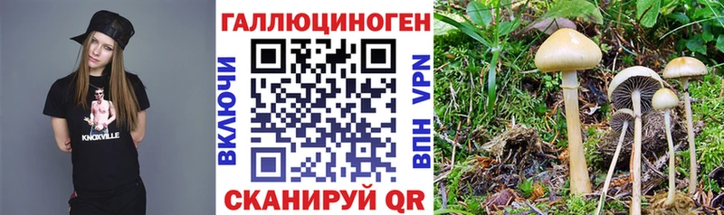 Галлюциногенные грибы прущие грибы  цены наркотик  Дзержинск 