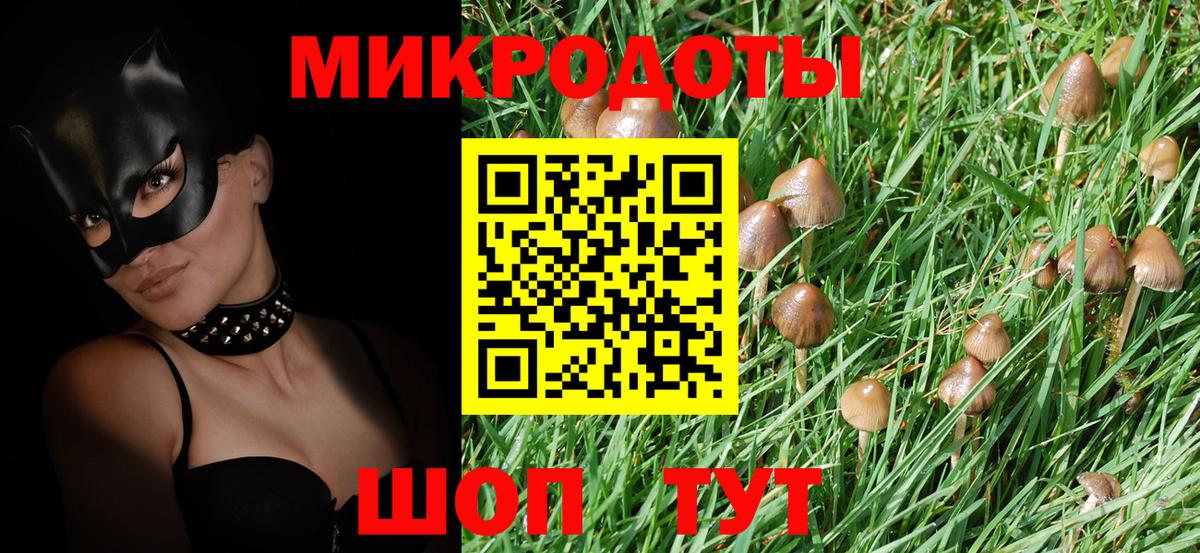 Псилоцибиновые грибы Cubensis Дзержинск
